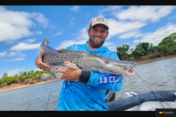 Captura de pantalla 2025-11-15 180933