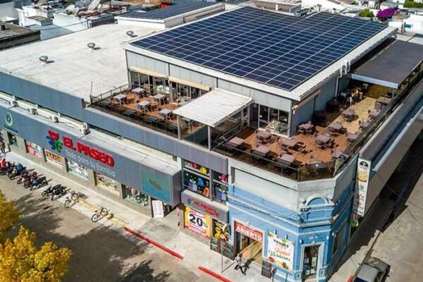 elpaseo1jpg elpaseo1jpg